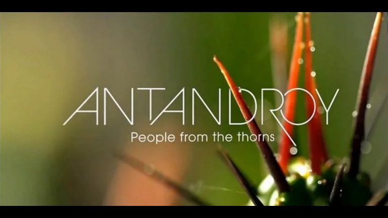 Madagascar – ANTANDROY by F-One