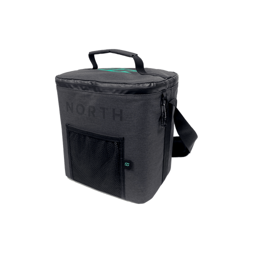 North face 2024 cooler bag