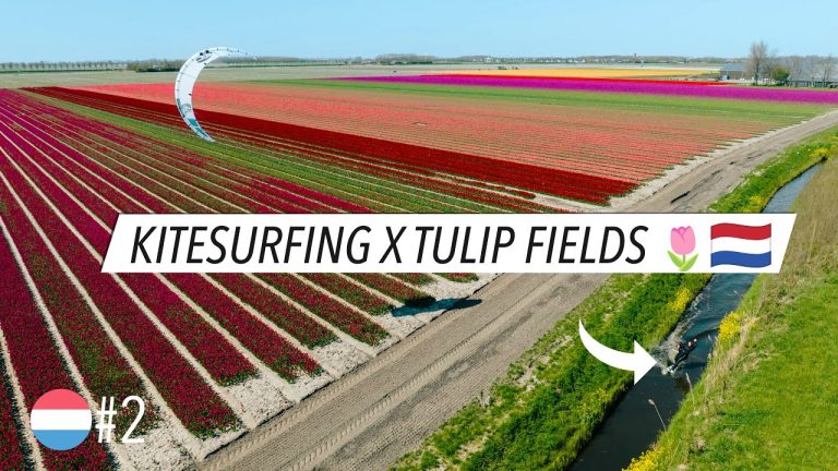 Kitesurfing X Tulip fields 🇳🇱 Ep.2